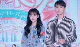 娱乐圈吃瓜大合集免费,揭秘免费吃瓜大合集背后的精彩故事